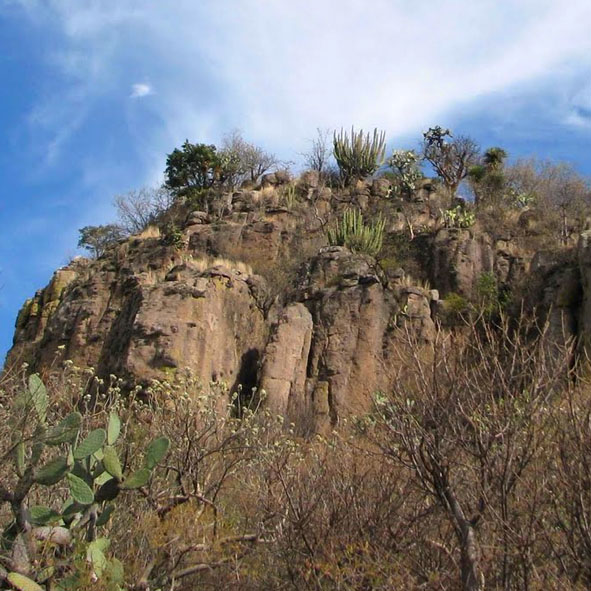Practicar escalada de roca en Cañón de Huijolotes – AGUASCALIENTES, AVENTURA Y ECOTURISMO